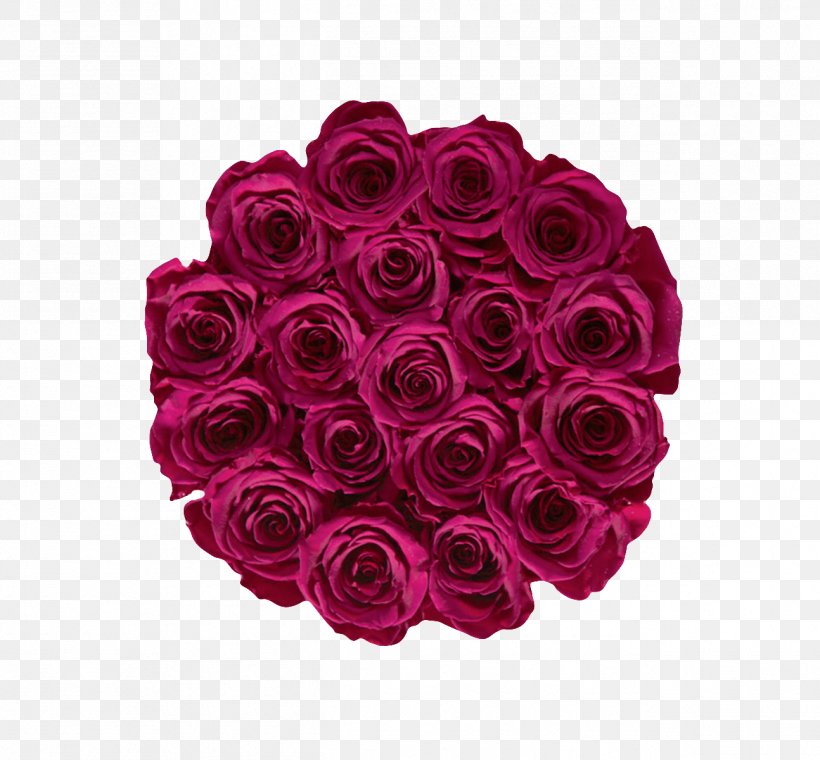 Garden Roses Raspberry Pi Fruit Berries, PNG, 1294x1200px, Garden Roses, Berries, Berry, Cabbage Rose, Color Download Free