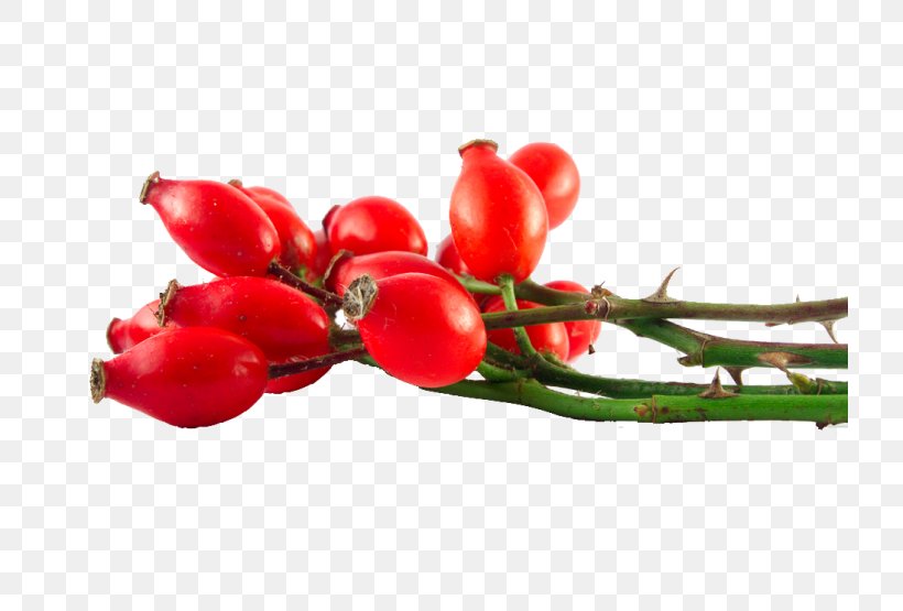 Rose Hip Seed Oil Natural Skin Care Essential Oil, PNG, 720x555px, Rose Hip, Aquifoliaceae, Bell Peppers And Chili Peppers, Berry, Carrier Oil Download Free