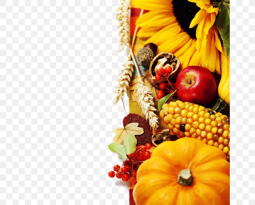 Thanksgiving Wish Saying Give Thanks With A Grateful Heart The Roots Of All Goodness Lie In The Soil Of Appreciation For Goodness., PNG, 658x658px, Thanksgiving, Cucurbita, Cut Flowers, Diet Food, Family Thanksgiving Download Free