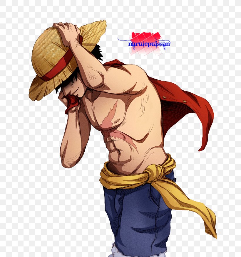 Monkey D. Luffy Nami Portgas D. Ace Usopp One Piece: Pirate Warriors, PNG, 800x876px, Watercolor, Cartoon, Flower, Frame, Heart Download Free