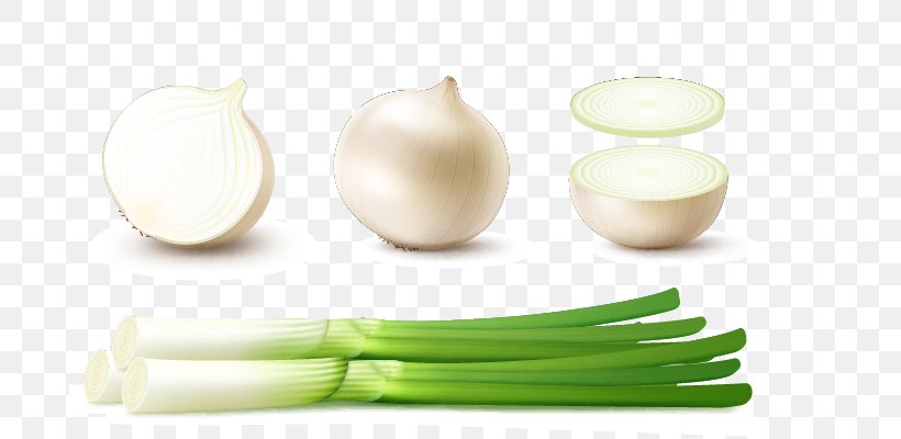 White Onion Red Onion Scallion, PNG, 736x400px, Onion, Allium Fistulosum, Alternative Medicine, Bulb, Food Download Free