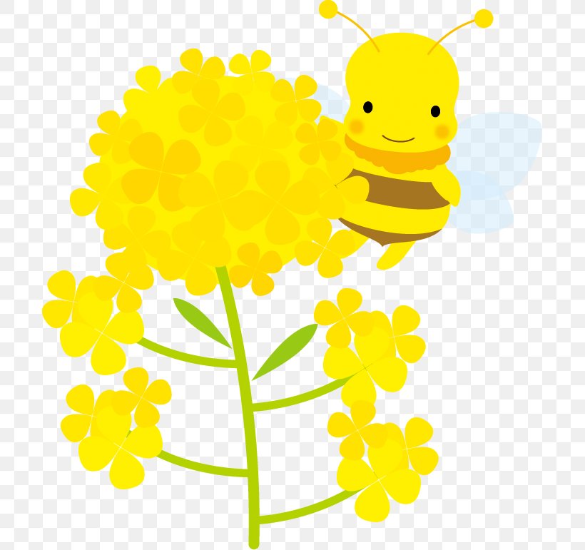 Blossoms And Bees Illustration., PNG, 701x771px, Insect, Beak, Branch, Cut Flowers, Dandelion Download Free