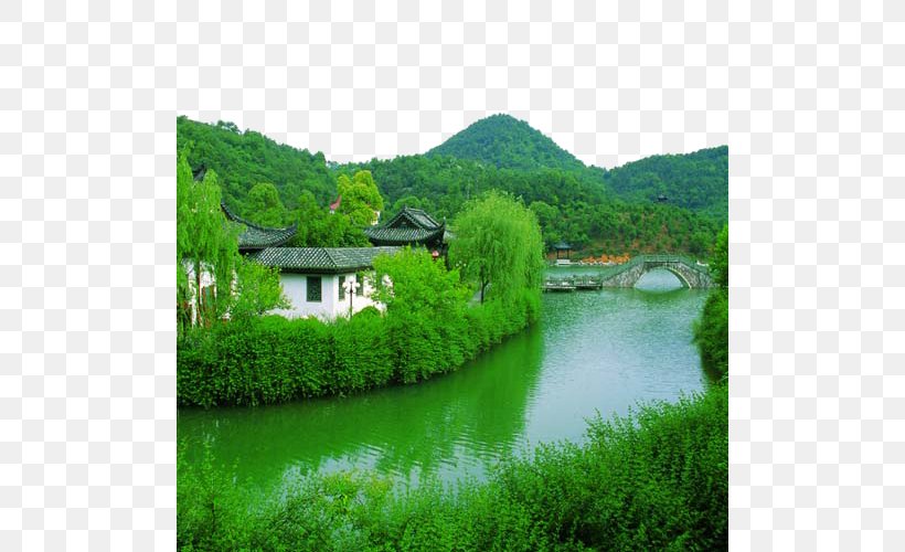 Changshan Shanshui Tourism Limited Company U836fu738bu5c71 U4e0au65b9u93ae U9f8du9580u5ce1u8c37, PNG, 500x500px, Tourism, Bank, Biome, Botanical Garden, Ecosystem Download Free