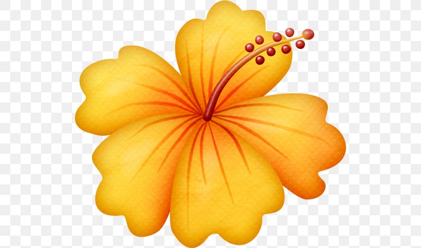 Cuisine Of Hawaii Clip Art Flower, PNG, 528x484px, Hawaii, Cuisine Of Hawaii, Drawing, Flower, Flowering Plant Download Free