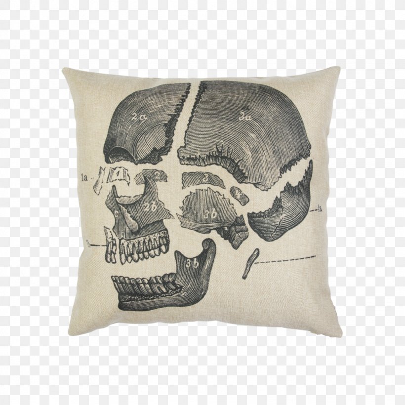 Cushion Throw Pillows Textile Polyester, PNG, 1024x1024px, Cushion, Bed, Beige, Black, Bone Download Free