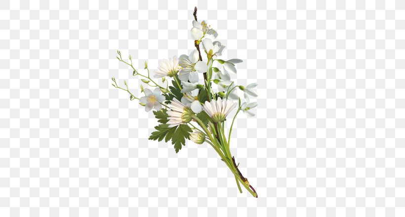 White Image Nosegay Green, PNG, 640x440px, White, Artificial Flower, Bouquet, Cut Flowers, Floristry Download Free