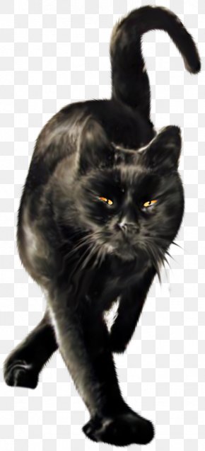 Le Chat Noir Bombay Cat Black Cat Halloween Png 600x462px Le Chat Noir Art Black And White Black Cat Bombay Download Free