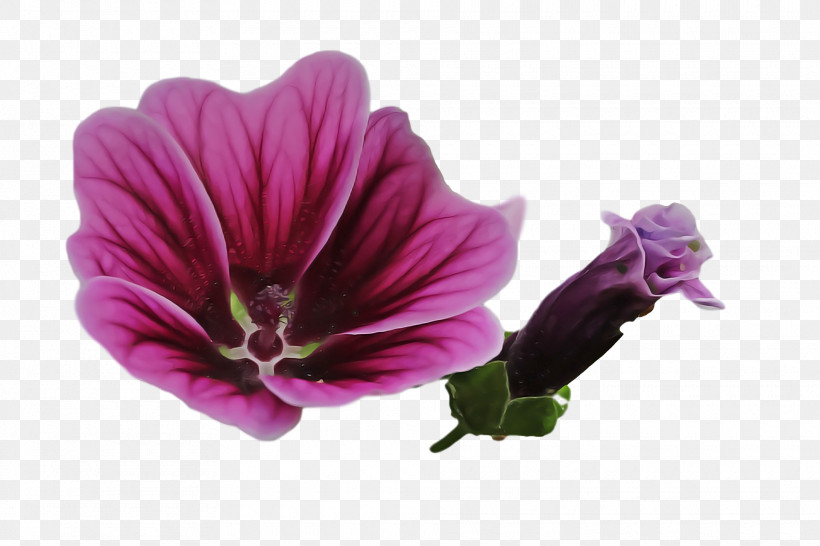 Mallow Violet Pansy Watercolor Painting, PNG, 1920x1280px, Mallow, Cartoon, Flower, Pansy, Plants Download Free