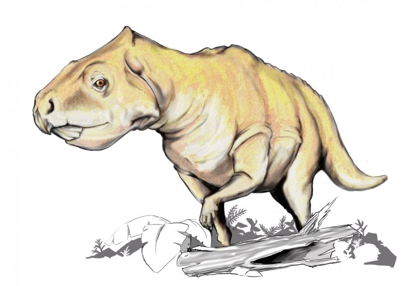 Plesiosauria Prenoceratops Text Book Author, PNG, 1200x845px, Plesiosauria, Alphabet Book, Animal Figure, Author, Big Cats Download Free
