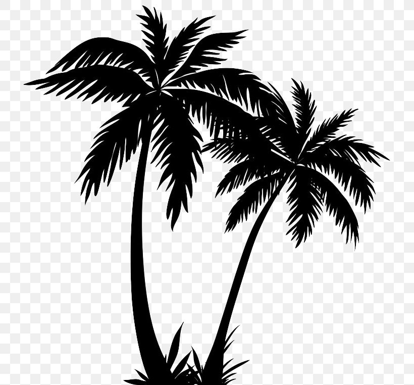 Silhouette Palm Trees Clip Art Drawing Vector Graphics, PNG, 736x762px, Silhouette, Arecales, Black And White, Borassus Flabellifer, Branch Download Free