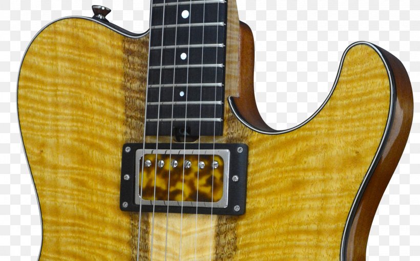 Bass Guitar Ukulele Musical Instruments String Instruments, PNG, 1639x1021px, Guitar, Acoustic Electric Guitar, Acoustic Guitar, Acousticelectric Guitar, Bass Guitar Download Free