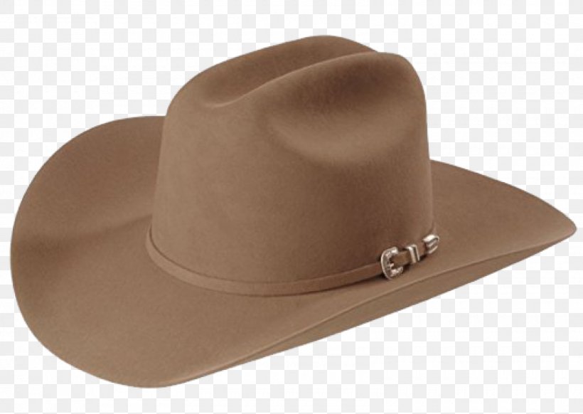 Hatter Stetson Western Wear Barn, PNG, 1600x1137px, Hat, Barn, Cardboard, Color, Hatter Download Free
