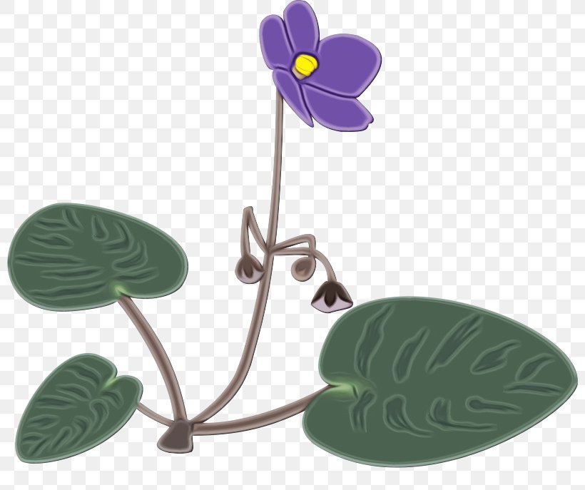 Leaf Flower Violet Plant Anthurium, PNG, 800x687px, Watercolor, Anthurium, Flower, Leaf, Paint Download Free