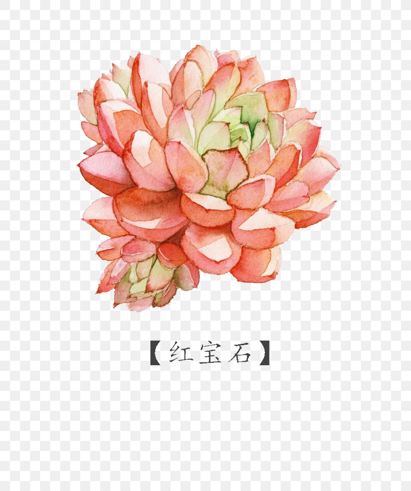 Watercolor Painting Succulent Plant, PNG, 700x980px, Watercolor Painting, Art, Artificial Flower, Cartoon, Creativity Download Free