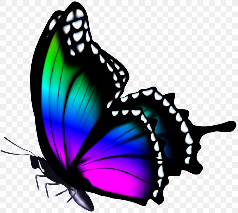 Butterfly Color Clip Art, PNG, 5000x4488px, 3d Computer Graphics, Butterfly, Arthropod, Brush Footed Butterfly, Butterflies And Moths Download Free
