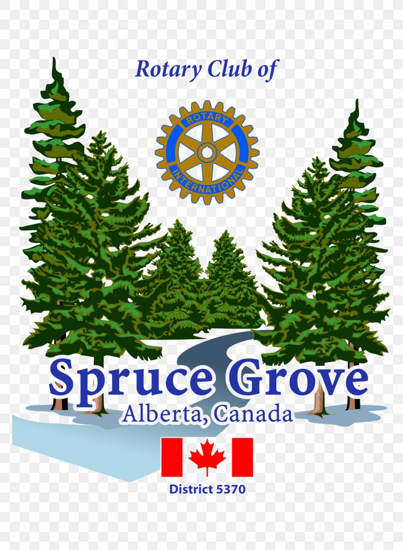 Christmas Tree Parkland Food Bank Society Sponsor Spruce, PNG, 1453x1980px, Christmas Tree, Business, Christmas, Christmas Decoration, Christmas Ornament Download Free