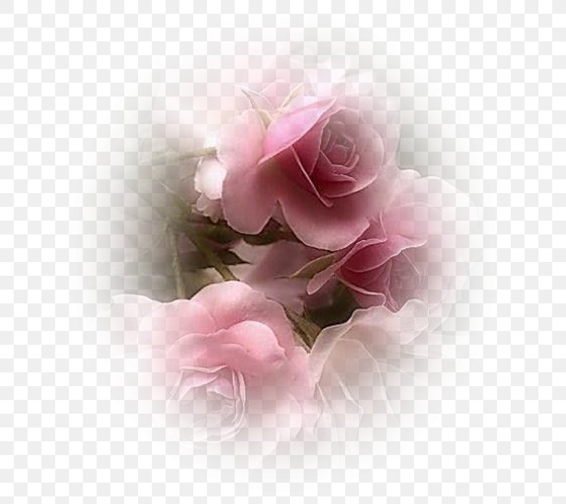 Flower Art Blog Desktop Wallpaper, PNG, 650x731px, Flower, Animation, Art, Blog, Cut Flowers Download Free