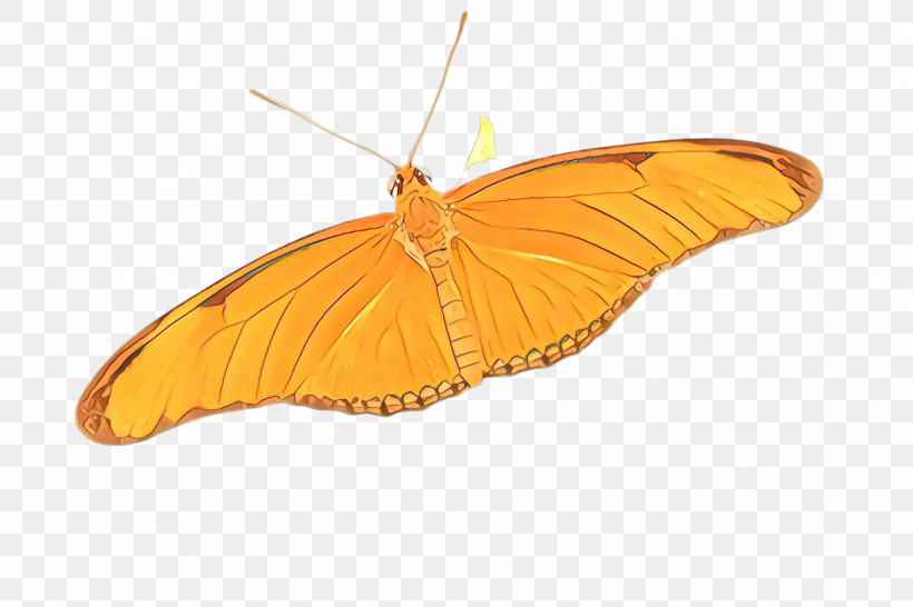 Orange, PNG, 2448x1632px, Butterfly, Brushfooted Butterfly, Insect, Moth, Moths And Butterflies Download Free