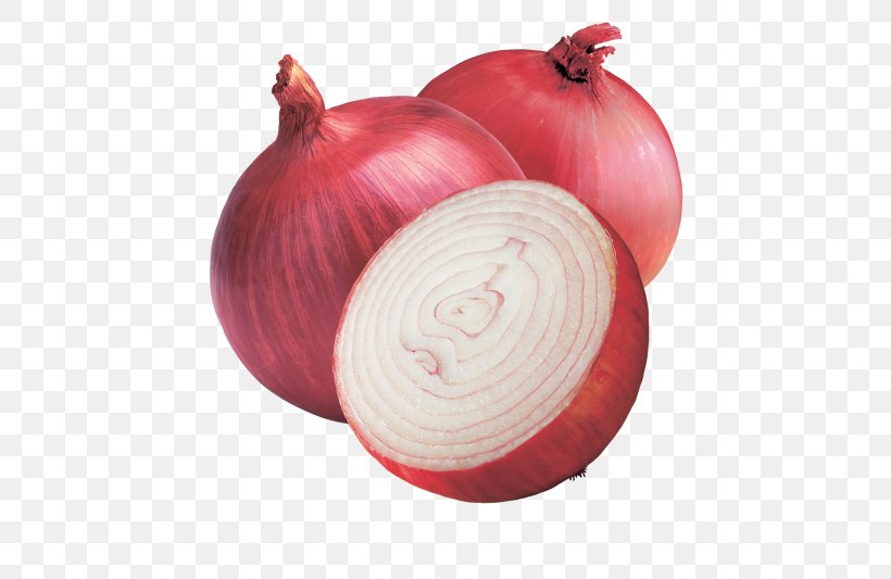 Red Onion Vegetable Sicilian Orange Salad Yellow Onion White Onion, PNG, 500x533px, Red Onion, Christmas Ornament, Food, Fruit, Garlic Download Free