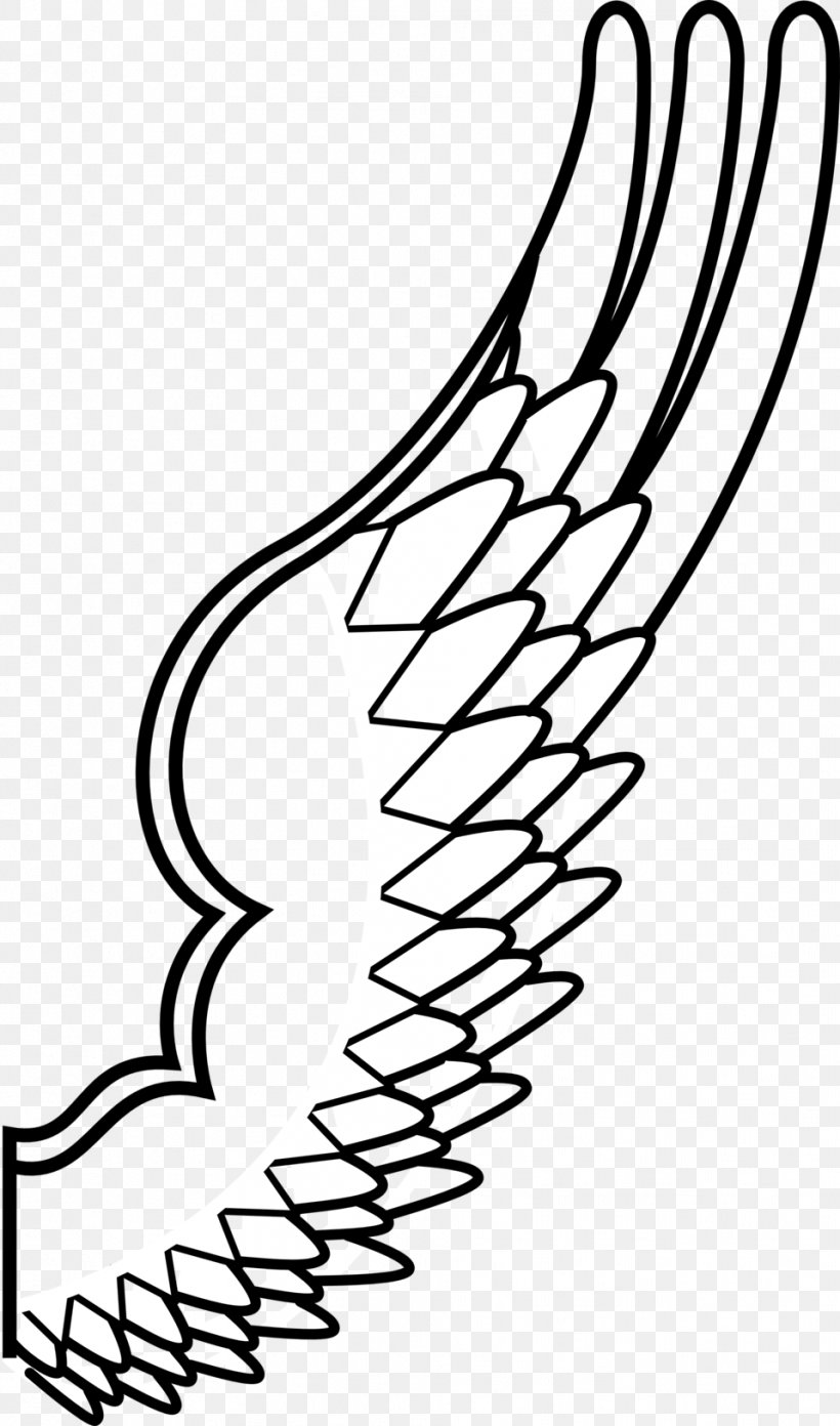 Bird Drawing Clip Art, PNG, 958x1627px, Bird, Angel Wing, Area, Arm, Beak Download Free