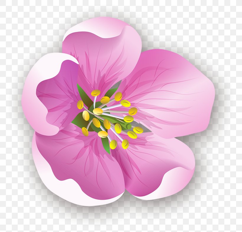 Flower Petal Clip Art, PNG, 800x785px, Flower, Blog, Blossom, Centerblog, Decoupage Download Free