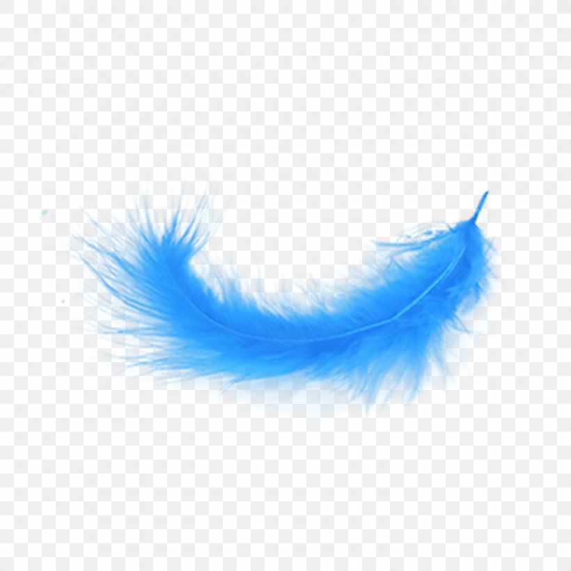 Clip Art Feather Image Desktop Wallpaper, PNG, 1500x1500px, Feather, Blue, Bluegreen, Drawing, Electric Blue Download Free