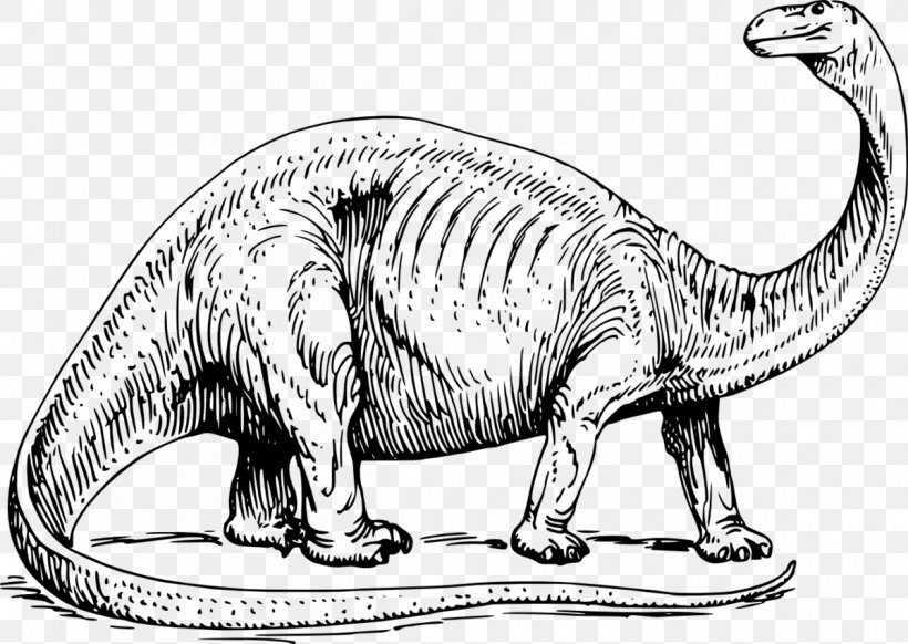 Brontosaurus Apatosaurus Triceratops Stegosaurus Coloring Book, PNG, 1200x853px, Brontosaurus, Adult, Animal Figure, Apatosaurus, Black And White Download Free