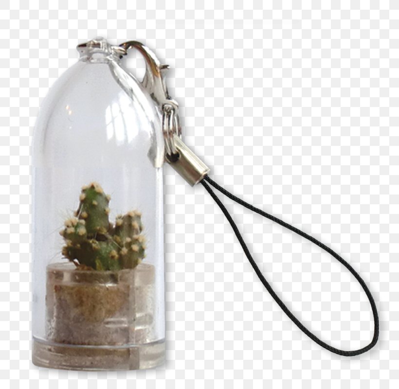Cacti And Succulents Key Chains Cactus Succulent Plant Plants, PNG, 800x800px, Cacti And Succulents, Cactus, Chain, Clothing Accessories, Drinkware Download Free