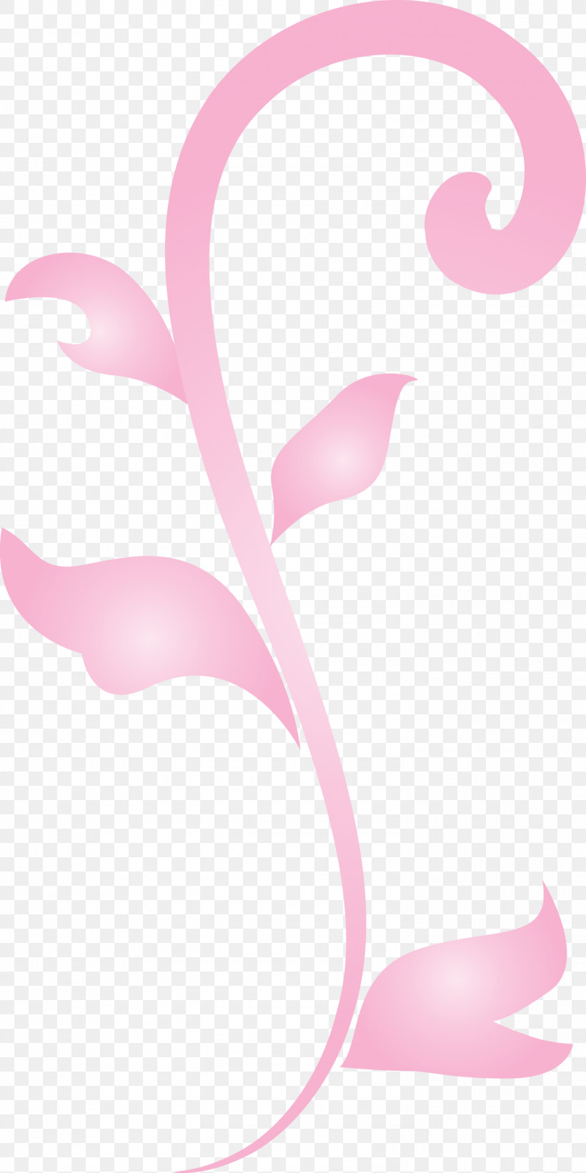 Flower Frame Floral Frame, PNG, 1497x2999px, Flower Frame, Floral Frame, Magenta, Pedicel, Pink Download Free