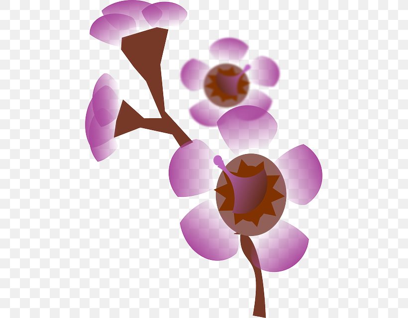 Pink Petal Flower Clip Art, PNG, 477x640px, Pink, Blossom, Branch, Color, Flora Download Free