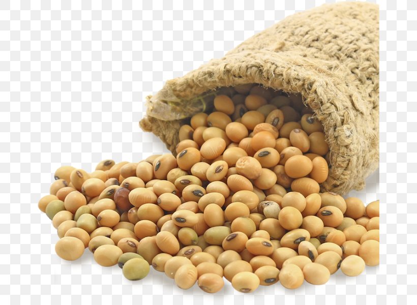 Soybean Meal Soy Milk Edamame Food, PNG, 672x600px, Soybean, Bean, Commodity, Edamame, Food Download Free