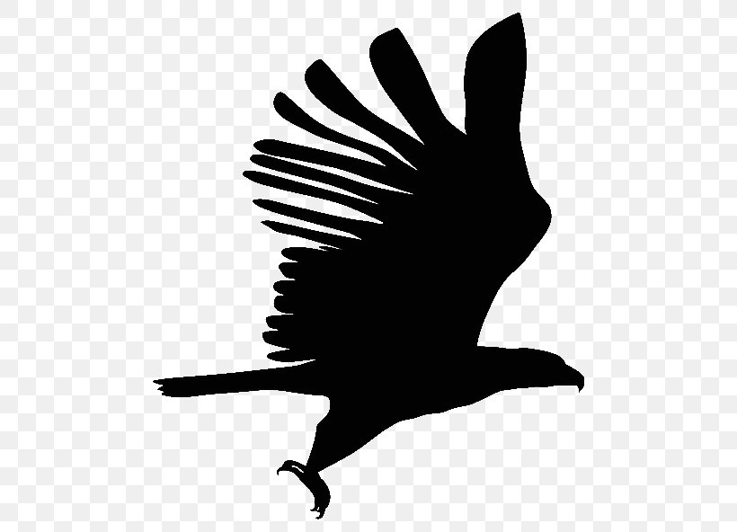 Bird Millionaires In Motion Beak Desktop Wallpaper, PNG, 640x592px, Bird, Beak, Bird Of Prey, Black And White, Business Download Free