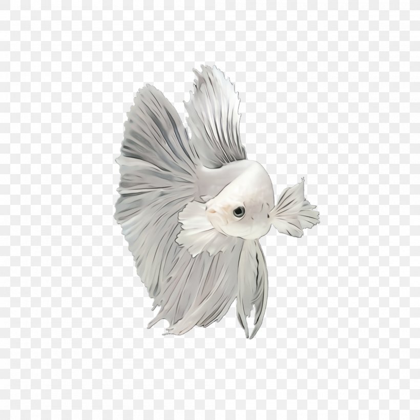 Feather, PNG, 2000x2000px, Watercolor, Angel, Bird, Feather, Fictional Character Download Free
