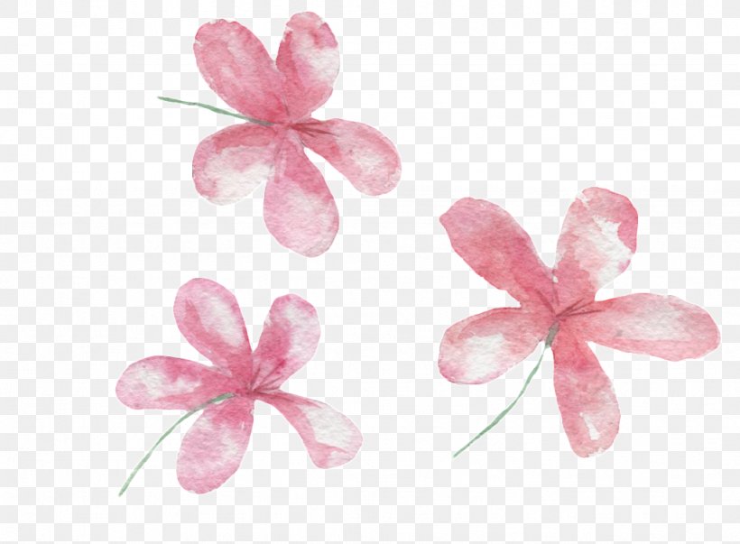 Flower Petal Image, PNG, 1024x754px, Flower, Blossom, Cherry Blossom, Cut Flowers, Painting Download Free