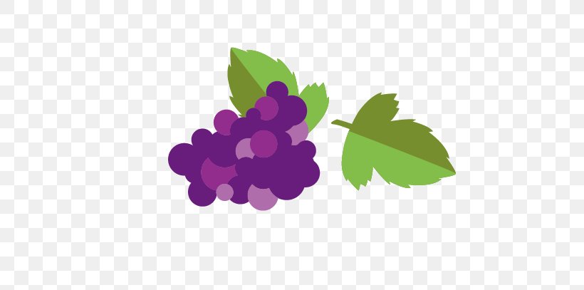 Grapevines Euclidean Vector Vecteur, PNG, 721x407px, Grape, Drawing, Flower, Food, Fruit Download Free