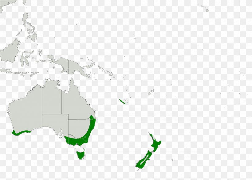 Australia World Map Country Continent, PNG, 1280x914px, Australia, Area, Atlas, Blank Map, Cartography Download Free