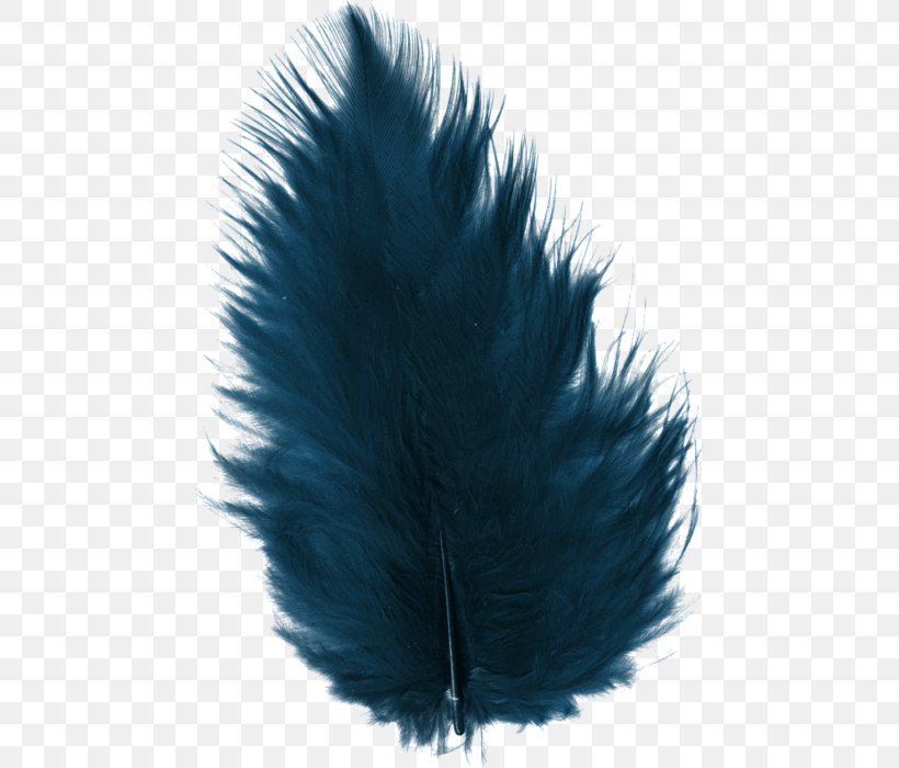 Feather Euclidean Vector Blue, PNG, 466x700px, Feather, Black, Blue, Designer, Hair Download Free