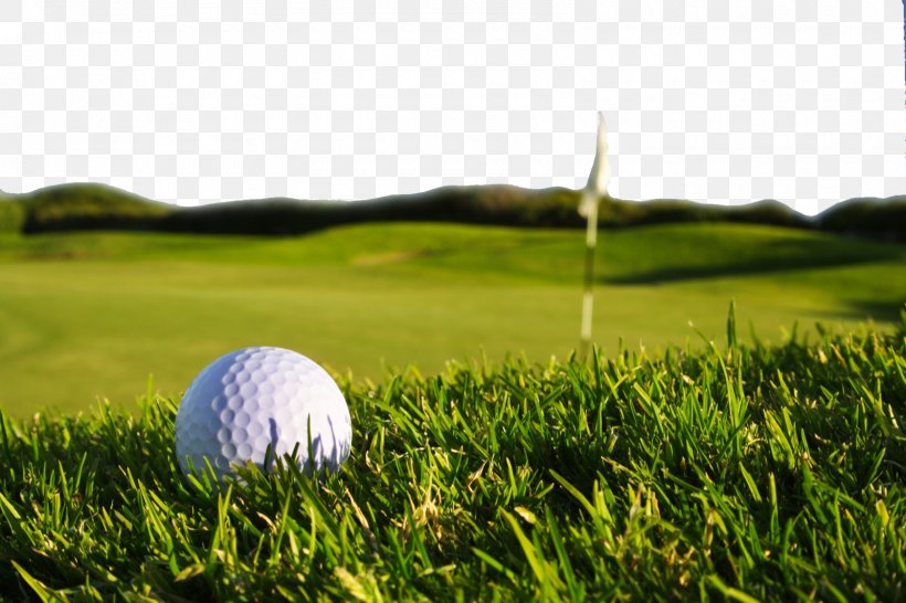 Golf Display Resolution High-definition Television Wallpaper, PNG, 1600x1067px, Golf, Ball Game, Computer, Computer Monitor, Display Resolution Download Free