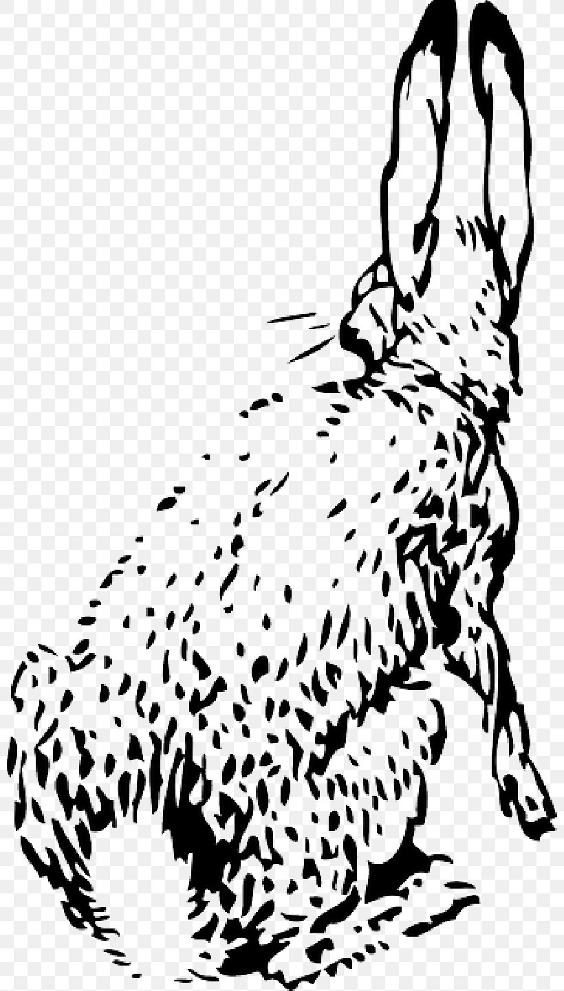 Rabbit Vector Graphics Clip Art Hare, PNG, 800x1442px, Rabbit, Animal, Animal Figure, Art, Blackandwhite Download Free
