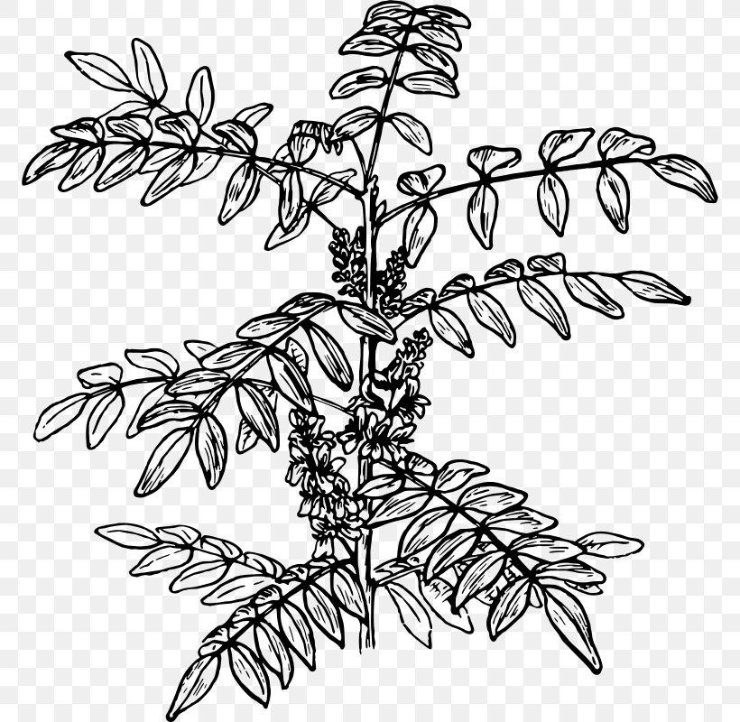 Twig Shrub Clip Art, PNG, 772x800px, Twig, Artwork, Black And White, Branch, Flower Download Free