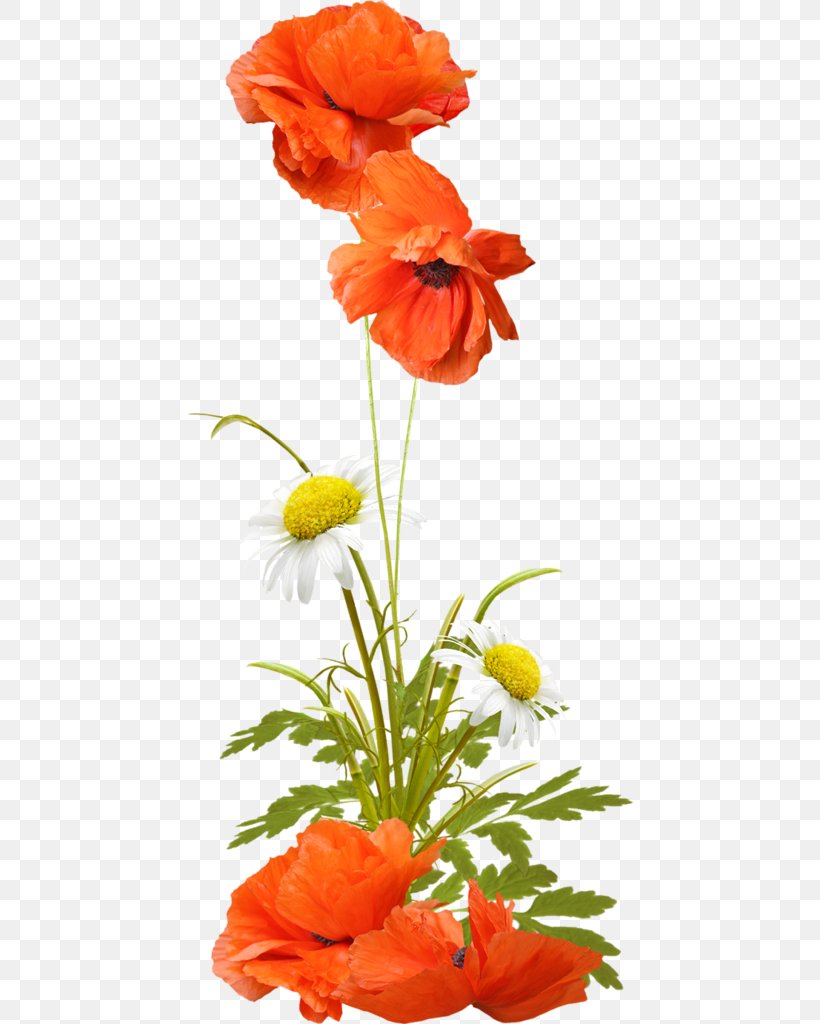 Animaatio Daytime Morning Clip Art, PNG, 446x1024px, Animaatio, Ansichtkaart, Computer Animation, Coquelicot, Cut Flowers Download Free