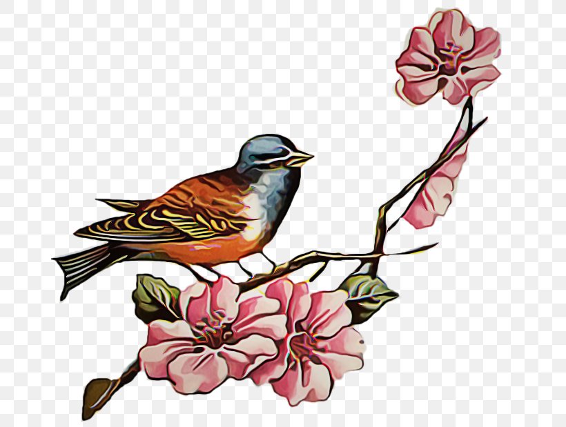 Drawing Of Family, PNG, 672x619px, Cherry Blossom, Beak, Bird, Blossom, Branch Download Free