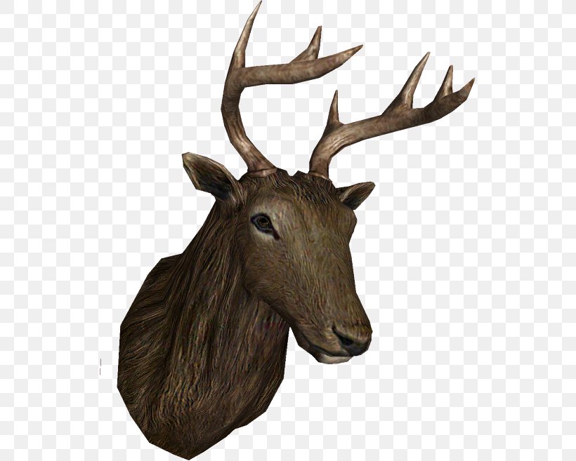 Elk Reindeer Antler Trophy Hunting, PNG, 535x657px, Elk, Animal, Antler, Deer, Horn Download Free
