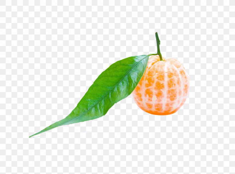 Mandarin Orange Smoothie Fruit Vegetable, PNG, 1398x1032px, Orange, Avocado, Food, Fruit, Guava Download Free