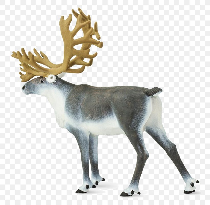 Reindeer Safari Ltd White-tailed Deer Wildlife, PNG, 800x800px, Reindeer, Animal, Animal Figure, Antler, California Download Free