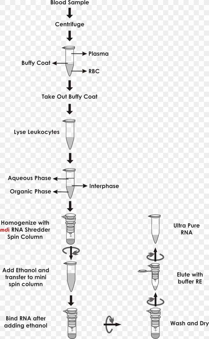 Plasmid Preparation Spin Column-based Nucleic Acid Purification RNA, PNG, 1200x1949px, Plasmid Preparation, Buffy Coat, Diagram, Rna Download Free