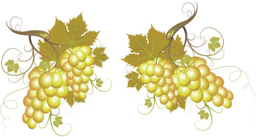 Common Grape Vine White Wine Champagne Red Wine, PNG, 1046x559px, Common Grape Vine, Barrel, Champagne, Flowering Plant, Food Download Free