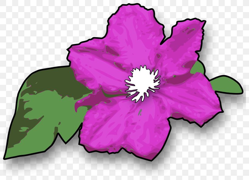 Download Flower Clip Art, PNG, 800x594px, Flower, Flora, Flower Bouquet, Flowering Plant, Leaf Download Free