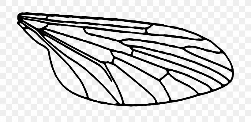 Fly Drawing Insect, PNG, 1596x780px, Fly, Area, Black And White, Diagram, Drawing Download Free