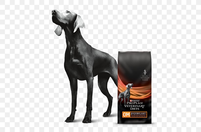 Weimaraner Nestlé Purina PetCare Company Dog Food Dog Breed Veterinarian, PNG, 540x540px, Weimaraner, Carnivoran, Diet, Dog, Dog Breed Download Free